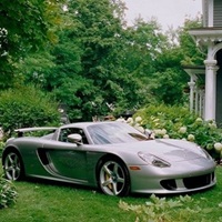 uma porsche carreira entre folhas